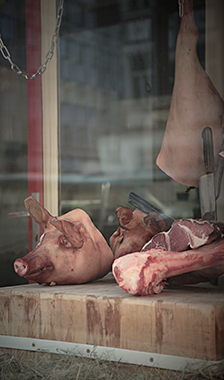 meat market karlin